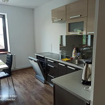 Polanski Z Tarasem Na Dachu