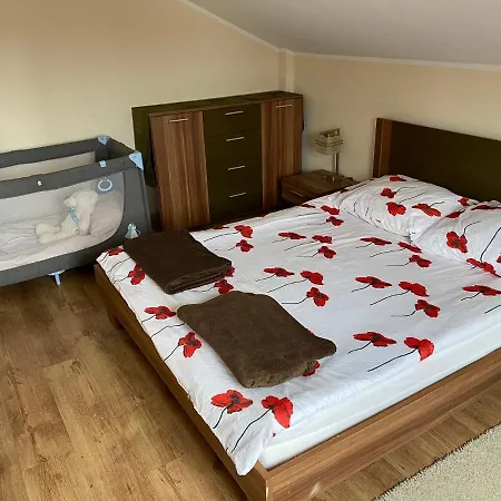 Polanski Z Tarasem Na Dachu 公寓 拉布卡