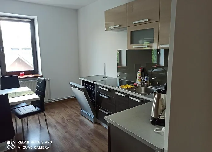 Polanski Z Tarasem Na Dachu